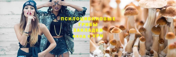 стафф Мегион