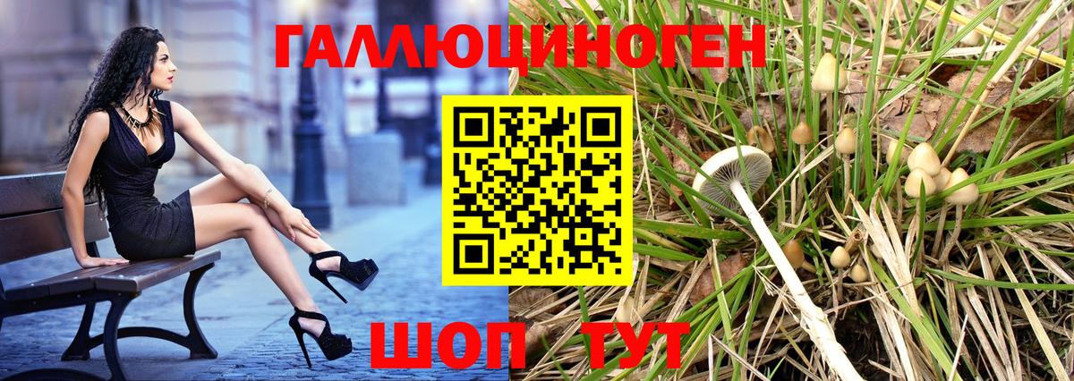 Псилоцибиновые грибы ЛСД  Вход с VPN  Галлюциногенные грибы Psilocybe  Элиста 